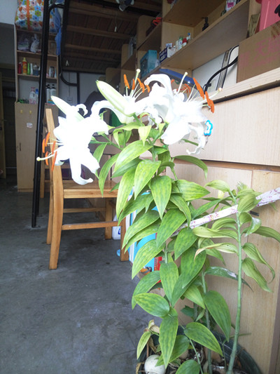 91吃瓜